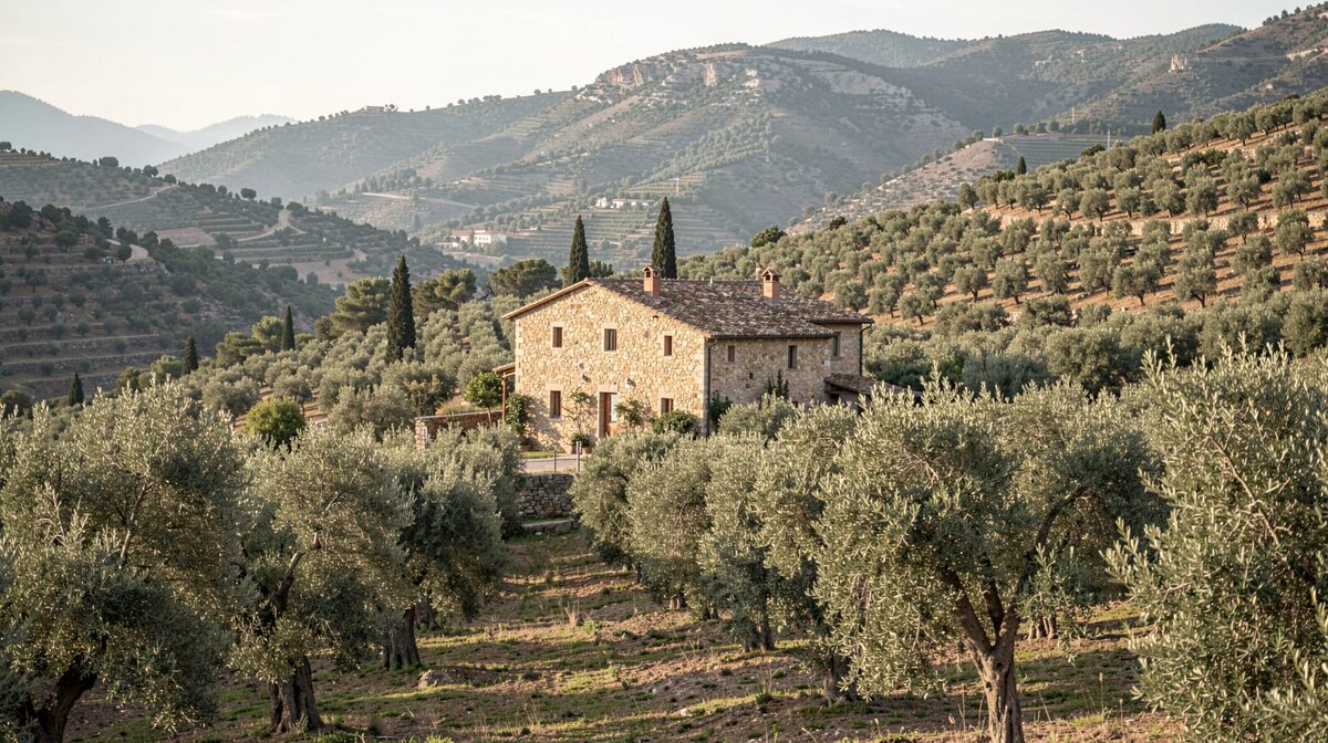 A rural stone farmhouse among terraced olive groves on a Spanish mountainside, morning light, wide landscape framing
